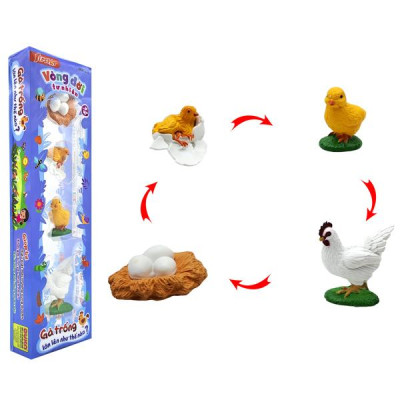 Đồ Chơi Mô Hình Vòng Đời Tự Nhiên - Gà Trống Lớn Lên Như Thế Nào? - Firstar DK81255