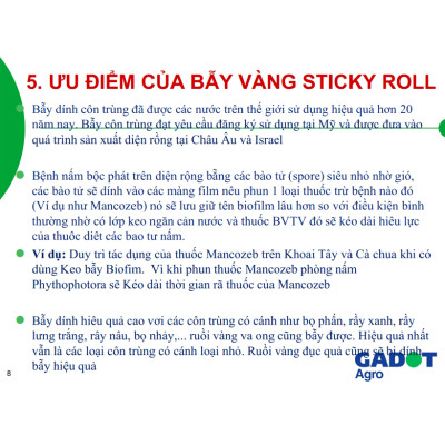 Bẫy Ruồi Bằng Keo Dính Vàng Sinh Học Israel Cuộn 10 Mét Trải Nghiệm. Hiệu Sticky Yellow Roll là Keo Dính Vàng 2 Mặt Israel (RỘNG 18CM X DÀI 10M) Nhập Khẩu Israel Sử DụngTrong Ngành Nông Nghiệp Sạch dùng Bẫy Ruồi Giấm, Ruồi Vàng, Ruồi Cái và cả các loại côn trùng khác