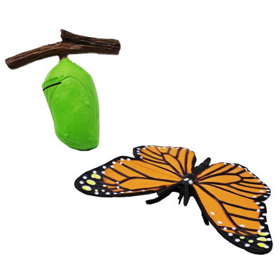 Đồ Chơi Mô Hình Vòng Đời Tự Nhiên - Bướm Lớn Lên Như Thế Nào? - Firstar DK81253