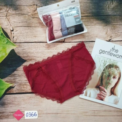 COMBO 5 QUẦN LÓT NỮ THUN LẠNH VIỀN C0366