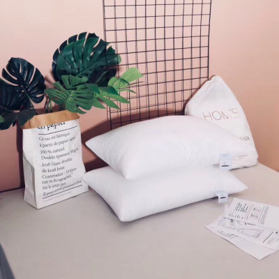 Combo 2 ruột gối Invista Aqua cao cấp size 45x65cm. chất liệu bông gòn an toàn với sức khỏe.