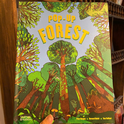 Sách - Pop-Up Forest by Tom Vaillant | Children Book in English / Ngoại văn Thiếu nhi Nhập khẩu
