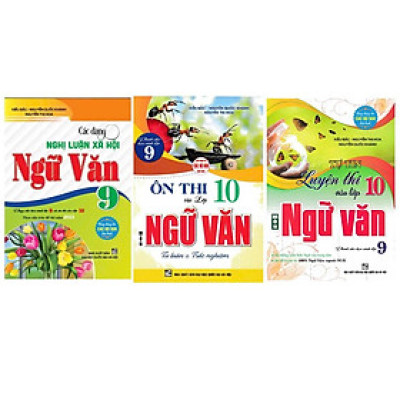 Sách - Combo Sách Ngữ Văn Ôn Luyện Thi Vào 10 Dùng Chung Cho Các Bộ SGK Hiện Hành (Bộ 3 cuốn) - Nhà Sách Hồng Ân 3