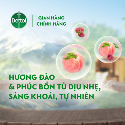 COMBO 2 CHAI SỮA TẮM DETTOL ONZEN MẬT ONG KHÁNG KHUẨN DƯỠNG THỂ VÀ DƯỠNG DA ĐÀO & PHÚC BỒN TỬ (950G/CHAI)