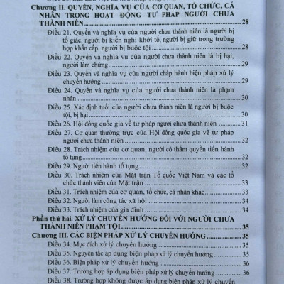 Sách Luật Tư Pháp Người Chưa Thành Niên 2025 – Hệ Thống Các Văn Bản Về Thủ Tục Tố Tụng Hình Sự Đối Với Người Chưa Thành Niên (V2640T)