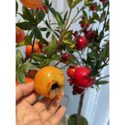 Cây lựu giả - cao 90cm - Màu cam, đỏ - Cây giả, hoa lụa Decor trang trí nhà cửa