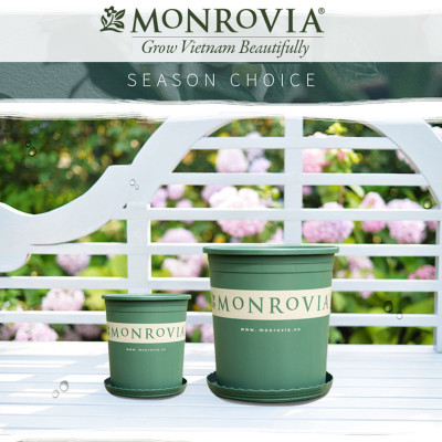 10 Chậu nhựa trồng cây MONROVIA 1 Gl, chậu trồng cây, chậu cây cảnh mini, để bàn, treo ban công, treo tường, cao cấp, chính hãng thương hiệu MONROVIA