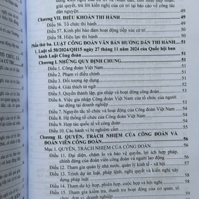 Sách Luật Mặt Trận Tổ Quốc Việt Nam, Luật Công Đoàn, Luật Thanh Niên Và Luật Thực Hiện Dân Chủ Ở Cơ Sở 2025 (V2617T)