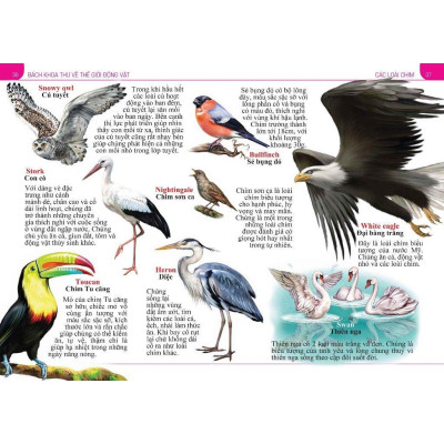 Sách - Bách Khoa Thư Về Thế Giới Động Vật - Bìa Mềm - Đăng Khôi - Việt Thư