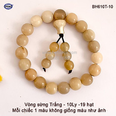Vòng tay sừng bò Châu Phi Trắng - phong thủy đuôi lục hạt (BH610T) Đây sẽ là thứ mang tài lộc về nhà bạn - Bracelet of HAHANCO