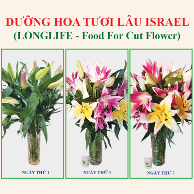 Bộ 5 hộp Loại 1KG Chế phẩm xử lý hoa Longlife của Israel - Bảo quản hoa cắm bình tươi lâu và 14 ngày không thối nước