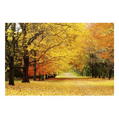 Tranh Dán Tường Phong Cảnh 3D /LN023