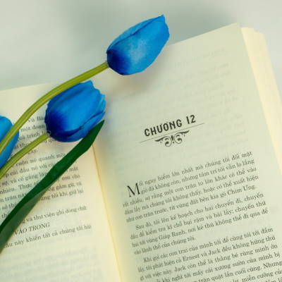 Sách - Lớn lên trên đảo vắng - Cuộc phưu lưu kịch tính của gia đình Robinson - Đinh Tị Books