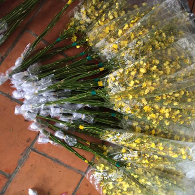 Set 2kg Dung Dịch Xử Lý Hoa Lan Vũ Nữ Tươi Lâu Longlife SG Israel - Food For Cut Flower (1kg pha được 100L dung dịch) là dung dịch trong TIP Nhựa bảo quản Hoa Lan Vũ Nữ cắt cành tươi lâu