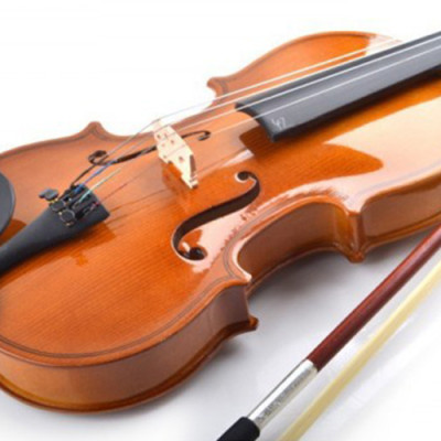 Violin Gỗ Cam 4/4 Woim 34A4-Ca