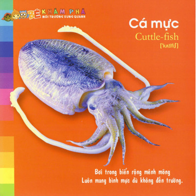 Bé Khám Phá Môi Trường Xung Quanh - Động Vật Sống Dưới Nước _ML