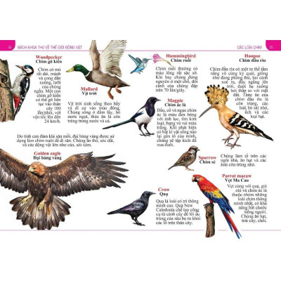 Sách - Bách Khoa Thư Về Thế Giới Động Vật - Bìa Mềm - Đăng Khôi - Việt Thư