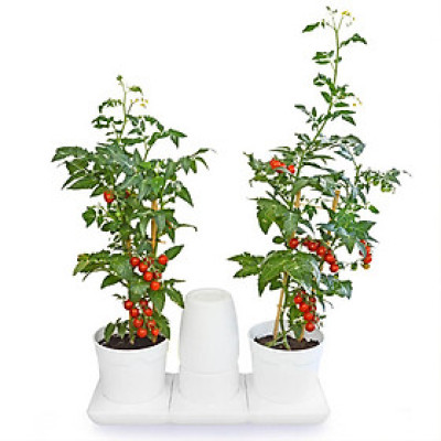 BỘ CHẬU TRỒNG RAU THÔNG MINH TỰ ĐỘNG TƯỚI trong vòng 2 tháng BASIC S, sử dụng 10 năm