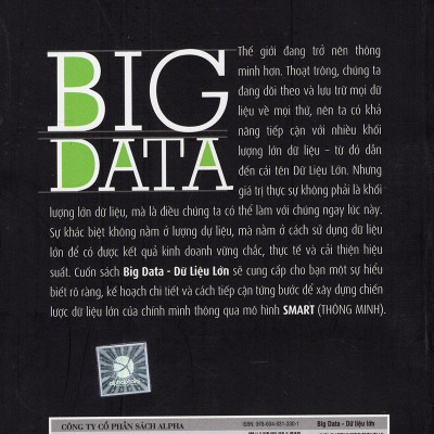 Dữ Liệu Lớn - Big Data Tặng Sổ Tay Giá Trị (Khổ A6 Dày 200 Trang)