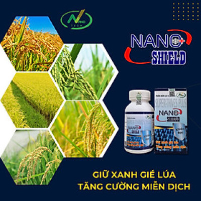 Phân bón lá vi lượng Super-Thives Plus NANO SHIELD giữ xanh gié lúa, tăng cường miễn dịch