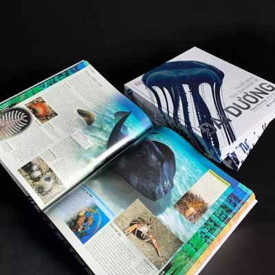 Sách - Tri Thức Về Vạn Vật - Một Thế Giới Trực Quan Chưa Từng Thấy