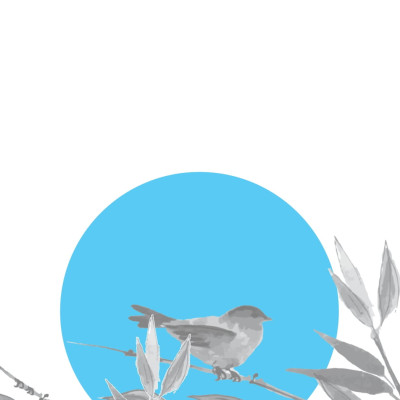 Không Diệt Không Sinh Đừng Sợ Hãi (Tái Bản 2022) - SGB