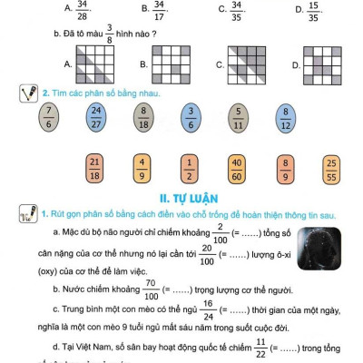 Bộ Đề Kiểm Tra, Đánh Giá Năng Lực Toán 4 - Tập 2