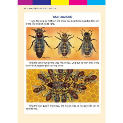 Sách - Những Con Vật Bé Nhỏ - Bìa Cứng - Minh Thắng