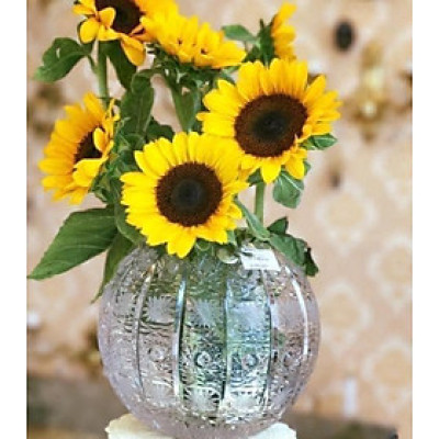 Lọ hoa pha lê Bohemia hình cầu M57 20cm Hàng chính hãng