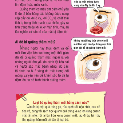 Những Kiến Thức Khoa Học Dễ Hiểu Sai - Khám Phá Cơ Thể Người