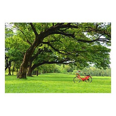 Tranh Dán Tường Phong Cảnh 3D LN0323