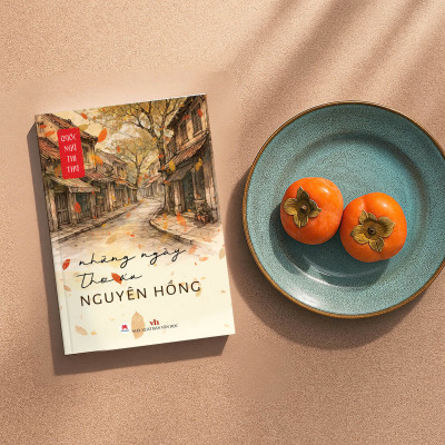 Những Ngày Thơ Ấu (Quốc Ngữ Thi Thư)