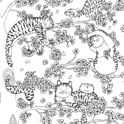 Sách - Meo Meo Phơi Nắng