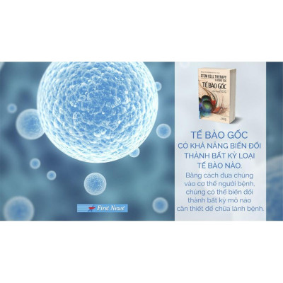 Sách - Combo Tế bào gốc + Bước vào cửa hiệu nhiệm màu - FirstNews