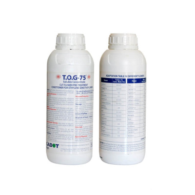 DUNG DỊCH BẢO QUẢN HOA LILY LÂU TÀN, KIỀM HOA KHÔNG NỞ VÀ “NGỦ ĐÔNG” TRÊN 15 NGÀY TẠI NHÀ VƯỜN TRỒNG HOA (GROWERS) THEO CÔNG NGHỆ ISRAEL