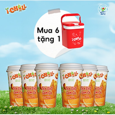 [COMBO 6 LY] iChill Trà Đào Cam Sả Nước Thanh Nhiệt Sấy Thăng Hoa Từ Trái Cây Tự Nhiên