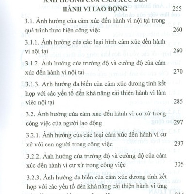 Cảm Xúc Tại Nơi Làm Việc (Sách Chuyên Khảo)