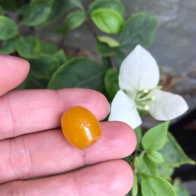 MẶT DÂY CHUYỀN HẠT LU THỐNG CHẤT LIỆU ĐÁ MÃ NÃO MÀU VÀNG TƯƠI LẠ ĐẸP Size Dài 14mm x dầy 13mm