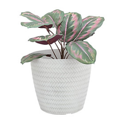 Chậu trồng cây bằng nhựa PP SANDOSA màu trắng, 22x22x20 cm | Index Living Mall - Phân phối độc quyền tại Việt Nam