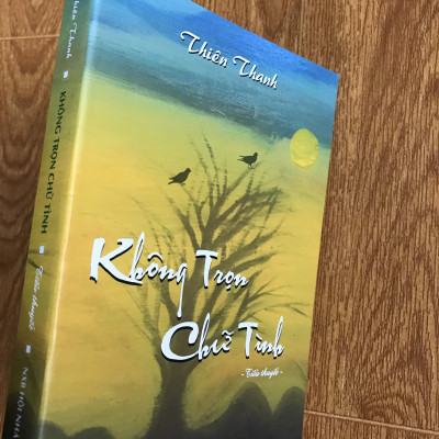 Không trọn chữ tình (tiểu thuyết của nữ văn sỹ Thiên Thanh)