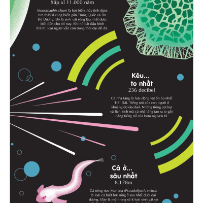 100 Bí Ẩn Đáng Kinh Ngạc Về Các Đại Dương - 100 Things To Know About The Oceans