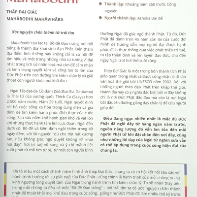 Sắc Màu Của Bụt Hành Trình Tâm Linh - Vòng Quanh Thế Giới (VNTĐ)