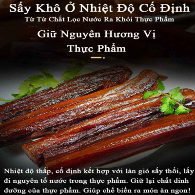 Máy sấy thực phẩm chuyên nghiệp 12 khay dung tích 45 lít thương hiệu Mỹ cao cấp Septree ST-06 - Hàng Nhập Khẩu