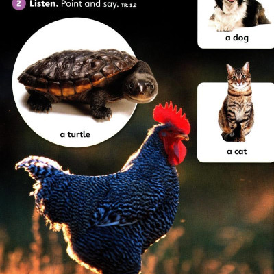 Explore Our World 2: Student