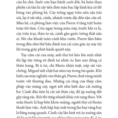 Miếng Ăn Nhà Người - TRẺ 