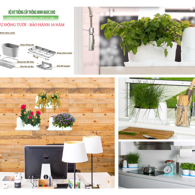 Combo 2 Bộ Chậu Tự Dưỡng Trồng Rau sạch, Trồng Cây Xanh Để Bàn Basic S & UNO nhập khẩu Bồ Đào Nha dành cho người yêu rau và cây tại nhà 