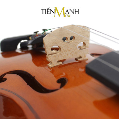 Đàn Violin Omebo RV205 Size 4/4, 3/4, 1/2, 1/4, 1/8, 1/10, 1/16 - Vĩ Cầm RV-205 Violon Hàng Chính Hãng