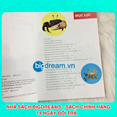 Sách - Khám Phá Thế Giới Động Vật Kì Thú - Thế giới của các thiên thần đáng yêu - Kiến thức bách khoa cho trẻ