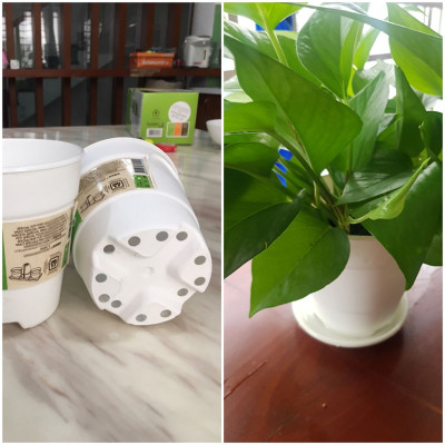Chậu nhựa trồng cây để bàn cao cấp Minigarden Basic Pot S (Combo 10 chậu) nhập khẩu Châu Âu, Nhựa PP Chống UV, có khả năng tự hút nước và thoát nước giúp cây sống tốt mà không cần chăm sót