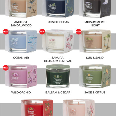 Nến ly mini Yankee Candle (37g) - Bayside Cedar